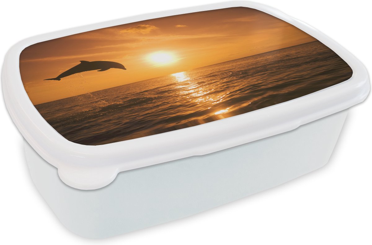 Broodtrommel Wit - Lunchbox - Brooddoos - Dolfijn - Zon - Zee - 18x12x6 cm - Volwassenen