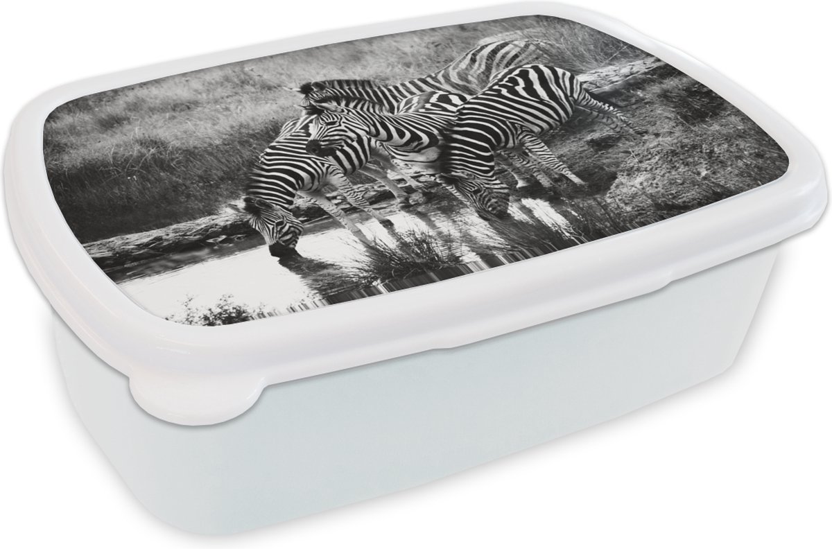 Broodtrommel Wit - Lunchbox - Brooddoos - Drinkende zebra's - 18x12x6 cm - Volwassenen
