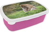 Broodtrommel Roze - Lunchbox - Brooddoos - Aap - Jong - Gras - 18x12x6 cm - Kinderen - Meisje