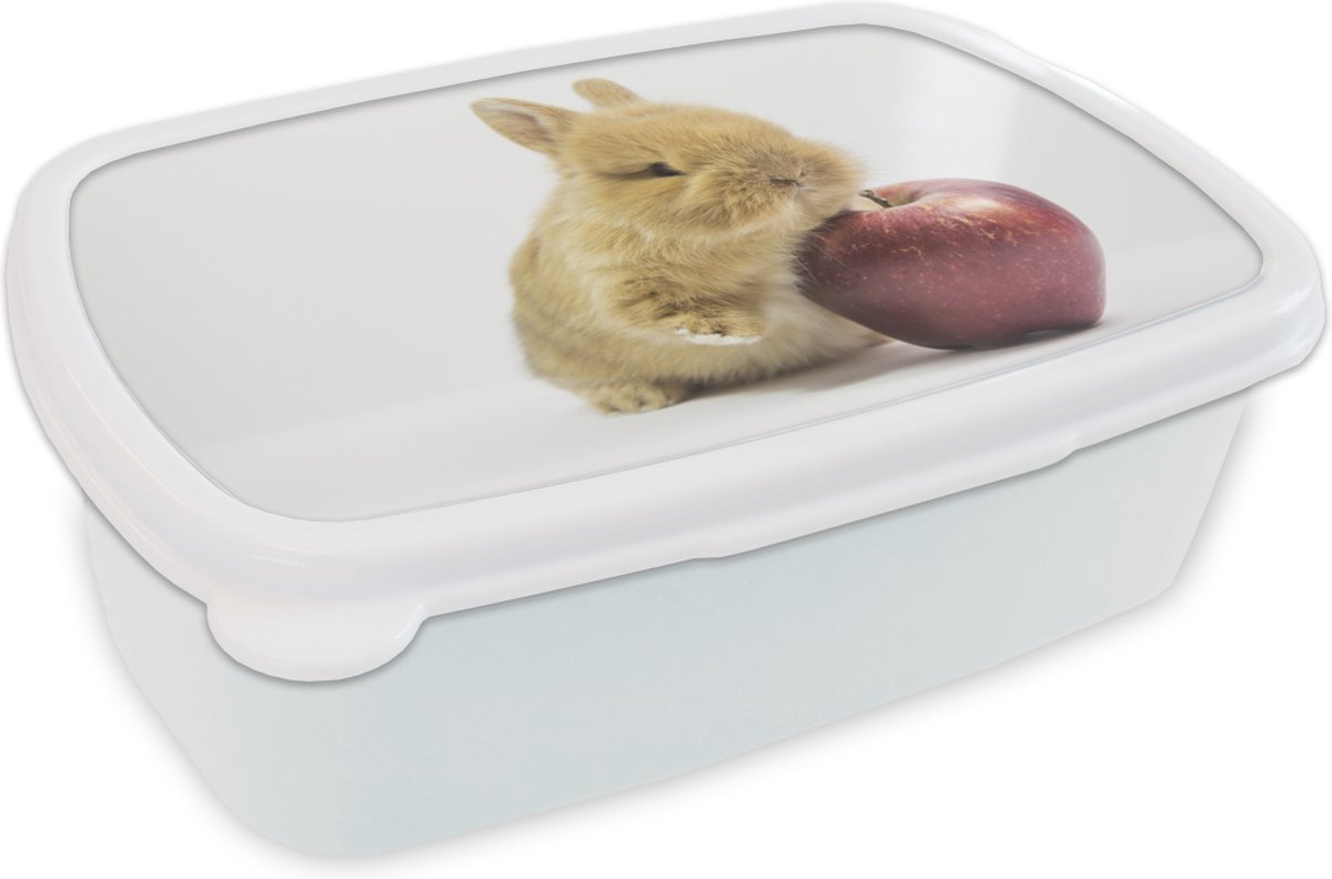 Broodtrommel Wit - Lunchbox - Brooddoos - Konijn - Baby - Appel - 18x12x6 cm - Volwassenen