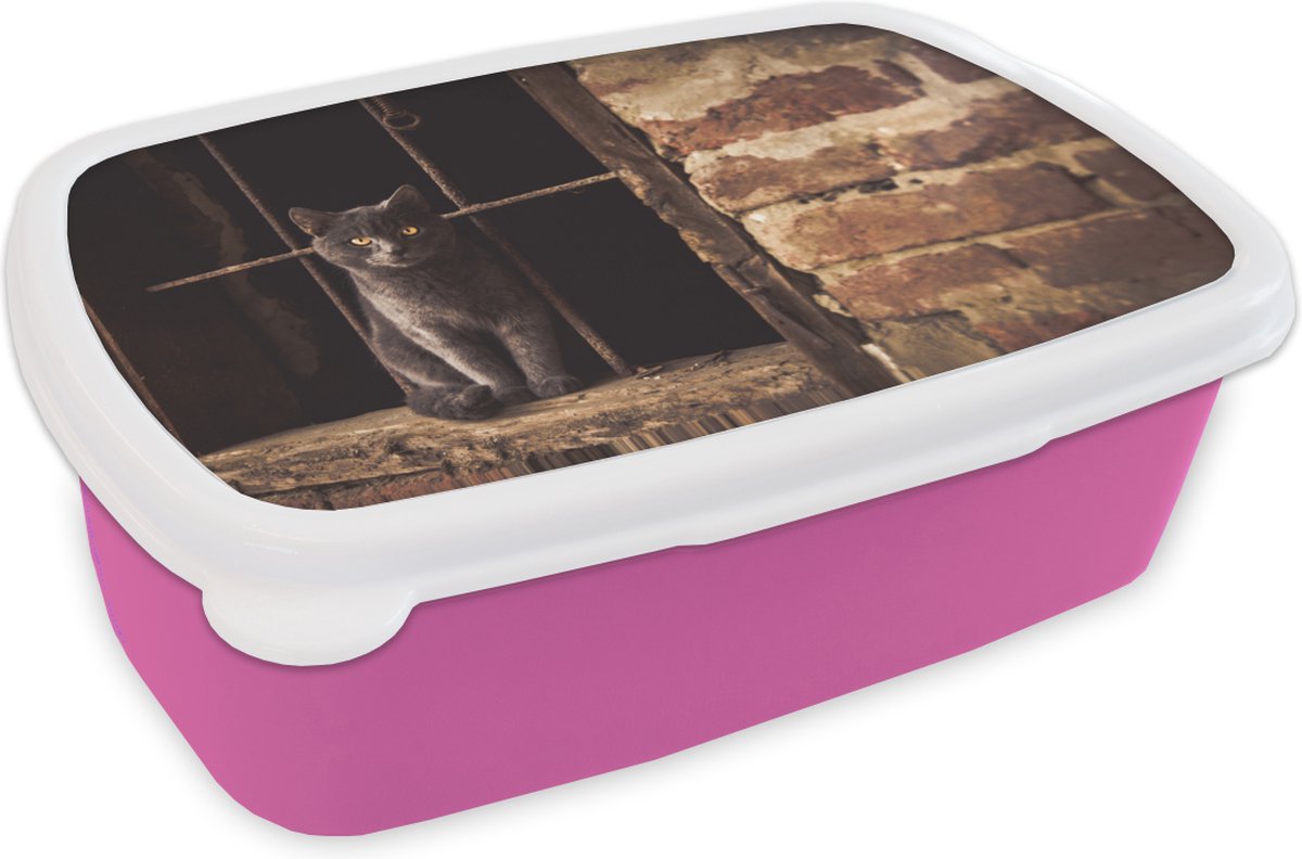 Broodtrommel Roze - Lunchbox - Brooddoos - Kat - Bakstenen - Muur - 18x12x6 cm - Kinderen - Meisje