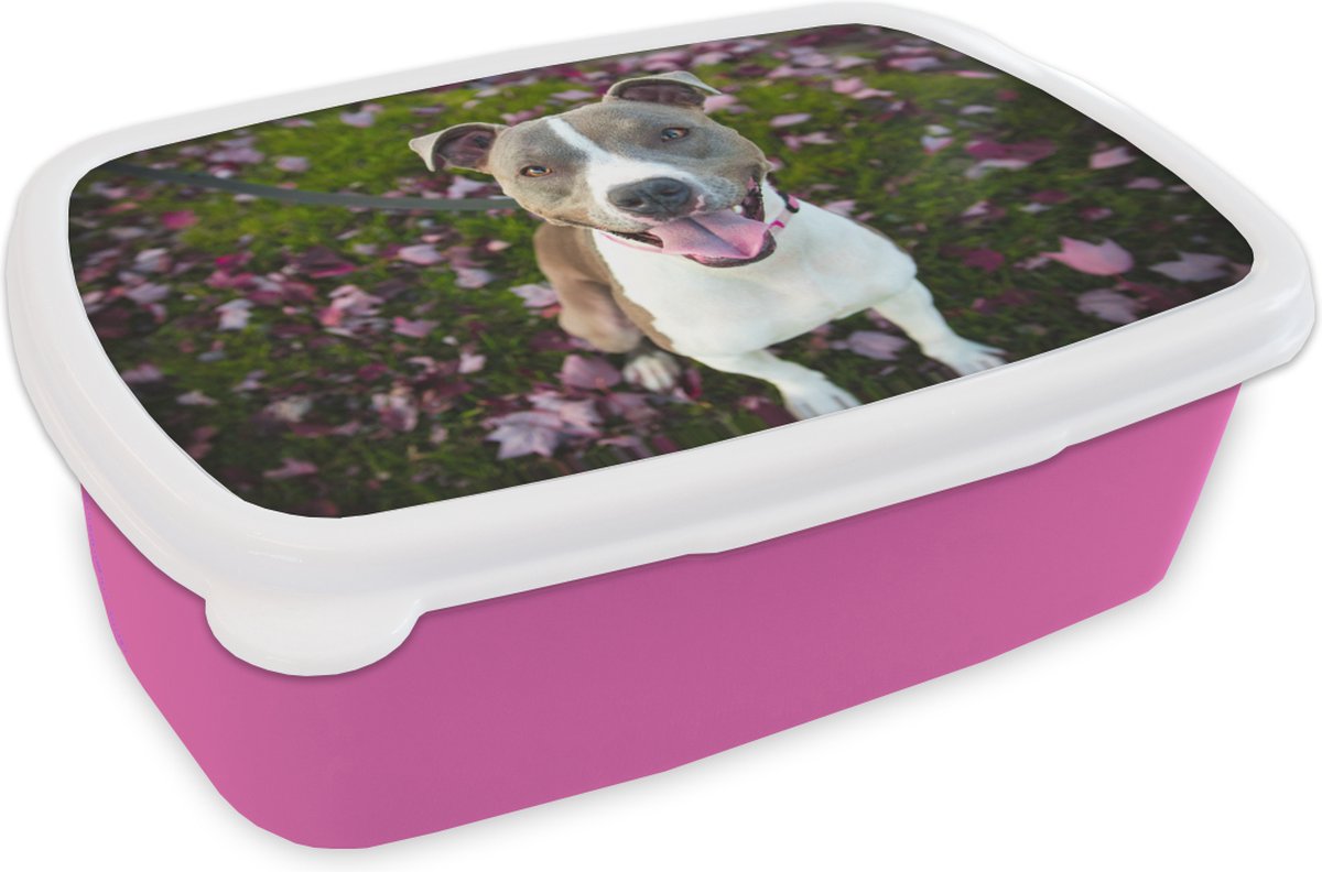 Broodtrommel Roze - Lunchbox - Brooddoos - Hond - Gras - Bloemen - 18x12x6 cm - Kinderen - Meisje