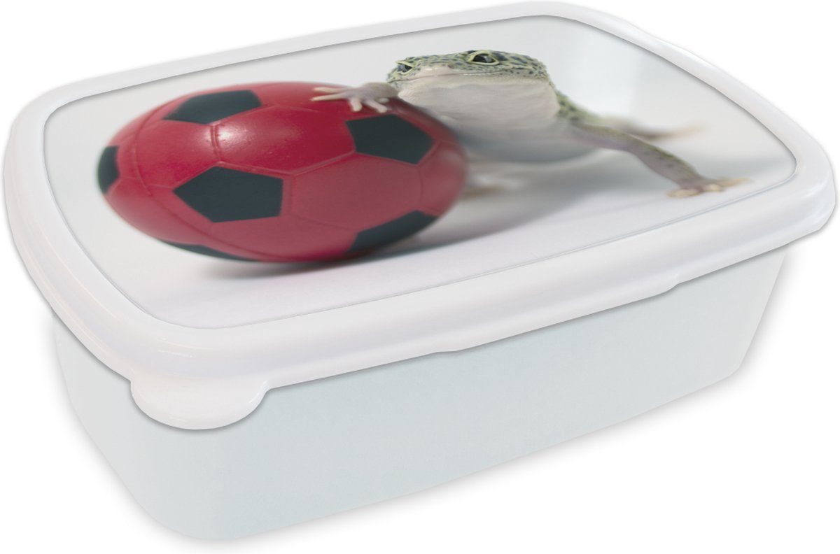 Broodtrommel Wit - Lunchbox - Brooddoos - Gekko met een bal - 18x12x6 cm - Volwassenen