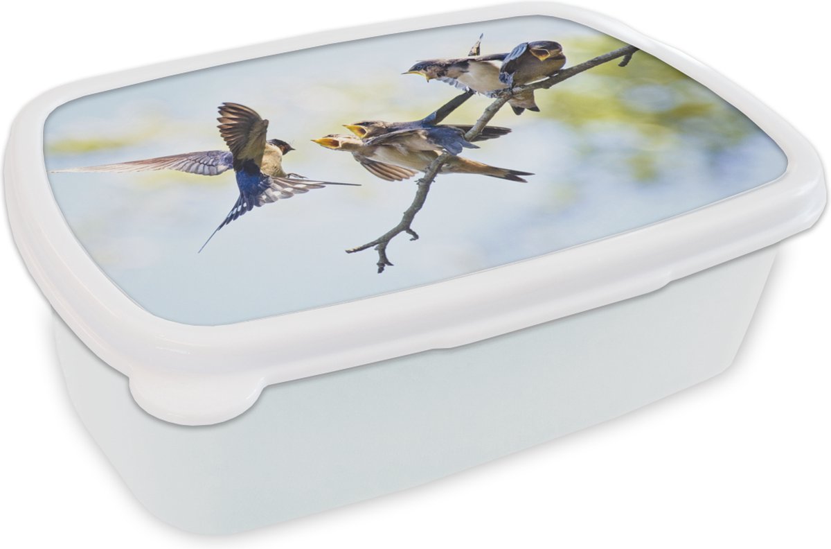 Broodtrommel Wit - Lunchbox - Brooddoos - Jonge boerenzwaluwen - 18x12x6 cm - Volwassenen