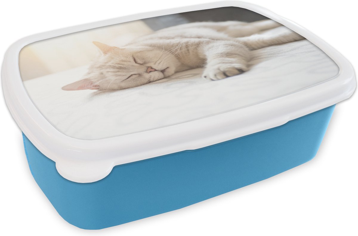 Broodtrommel Blauw - Lunchbox - Brooddoos - Kat slaapt op bed - 18x12x6 cm - Kinderen - Jongen