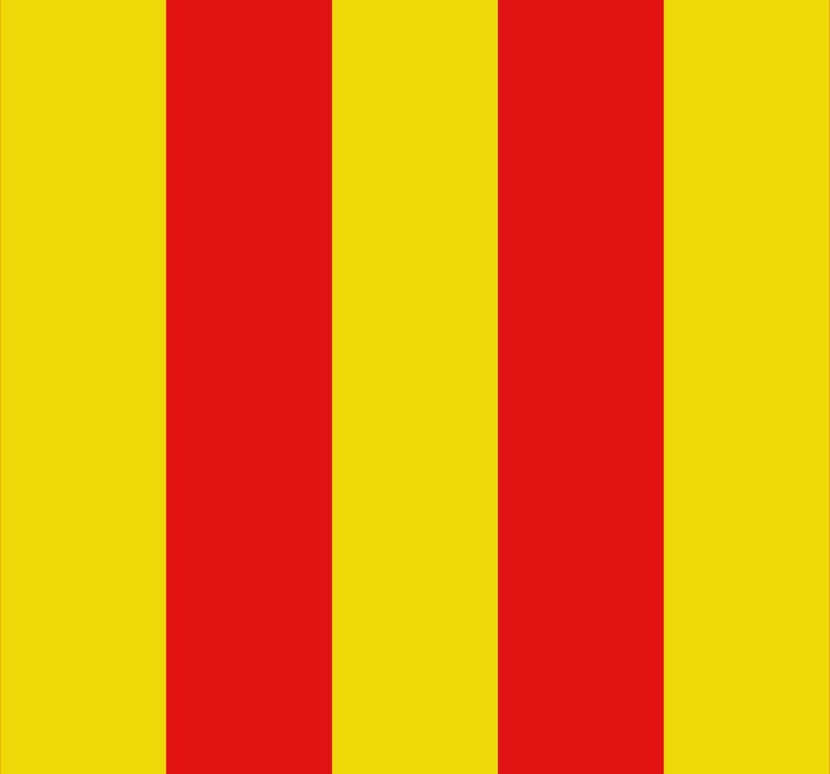 Vlag Messancy 100x150cm