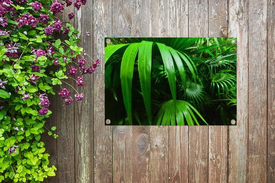 Affiche de jardin Feuilles de palmier dans la jungle 60x40 cm - petit - Toile de jardin / Toile d'extérieur / Peintures d'extérieur (décoration de jardin)