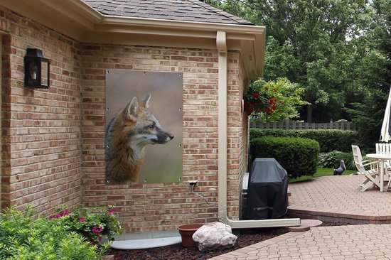Affiche de jardin portrait renard gris 80x120 cm - Toile de jardin / Toile d'extérieur / Peintures d'extérieur (décoration de jardin)