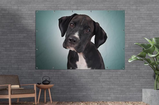 Affiche de jardin chien doux noir et blanc 200x100 cm - Toile de jardin / Toile d'extérieur / Peintures d'extérieur (décoration de jardin) XXL / Groot format!