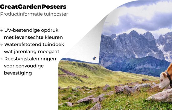 Grote tuinposter met een koe in de Alpen.
