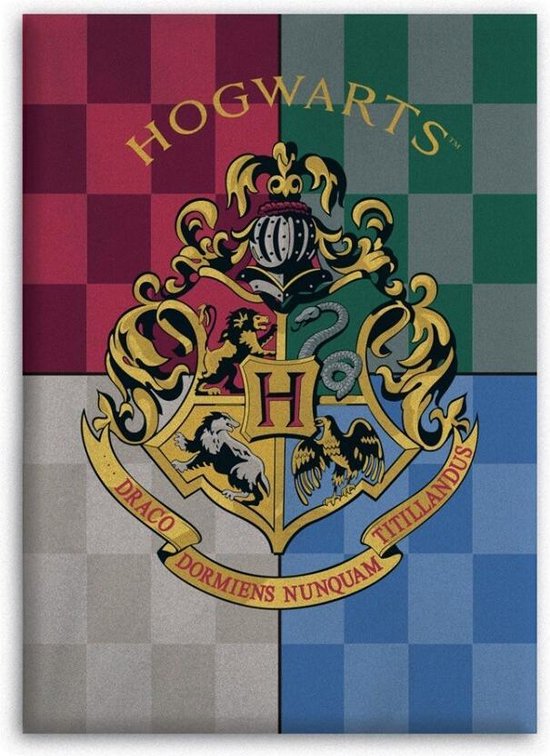 Harry Potter Fleecedeken Hogwarts Junior 110 X 140 Cm