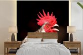 Papier peint - Papier peint photo - Coq qui chante - Largeur 220 cm x hauteur 220 cm