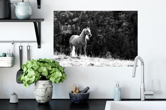 Stickers muraux - Film autocollant - Cheval Haflinger dans les montagnes - noir et blanc - 60x40 cm - Film adhésif - Stickers muraux Chambre d'enfant - Papier peint autocollant - Papier peint autocollant - Film autocollant