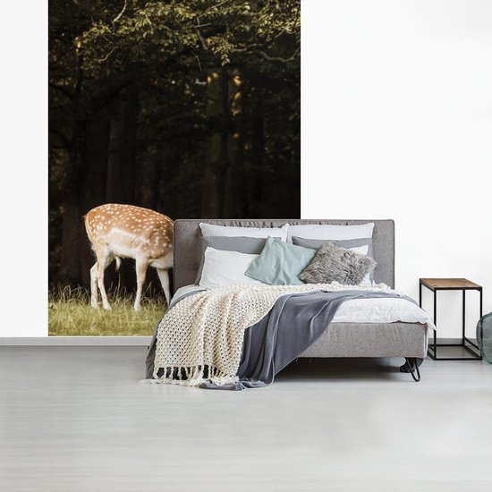 Papier peint - Papier peint photo Cerf - Nourriture - Herbe - Largeur 160 cm x hauteur 220 cm