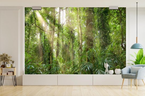 Papier peint - Papier peint photo Lumière dans la forêt - Largeur 360 cm x hauteur 240 cm