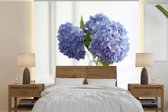 Behang - Fotobehang Blauwe hortensia's in vaas - Breedte 240 cm x hoogte 240 cm