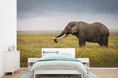 Behang - Fotobehang Grazende olifant in de natuur van Afrika - Breedte 420 cm x hoogte 280 cm