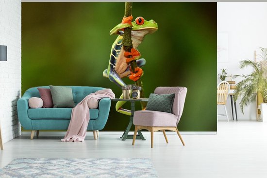Papier peint Papier peint photo en vinyle - Grenouille ara aux yeux rouges dans la jungle largeur 330 cm x hauteur 220 cm - Tirage photo sur papier peint (disponible en 7 tailles)