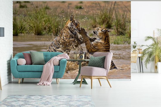 Papier peint Papier peint photo en vinyle - Jeunes tigres jouant dans l'eau largeur 360 cm x hauteur 240 cm - Tirage photo sur papier peint (disponible en 7 tailles)