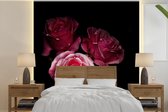 Papier peint photo vinyle - Une photo de roses roses avec un fond noir largeur 220 cm x hauteur 220 cm - Tirage photo sur papier peint (disponible en 7 tailles)