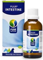 Puur natuur intestine (darm) - 50 ml - 1 stuks