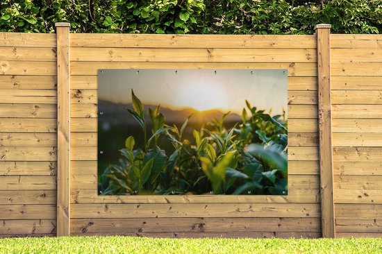 Tuinposter 180x120 cm - Tuindecoratie Zon verlicht de bladeren van theeplanten op een theeplantage - Poster voor in de tuin - Buiten decoratie - Schutting tuinschilderij - Tuindoek muurdecoratie - Wanddecoratie balkondoek