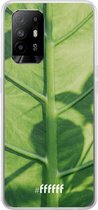 6F hoesje - geschikt voor OPPO A94 5G -  Transparant TPU Case - Leaves Macro #ffffff