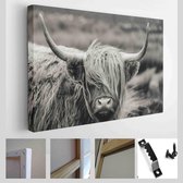 Schotse Hooglanders - Modern Art Canvas - Horizontaal - 753541153