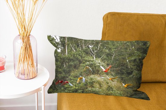 Sierkussen pour la vie forestière à l'intérieur - Perroquets dans la forêt tropicale - 50x30 cm - Coussin rectangulaire en coton
