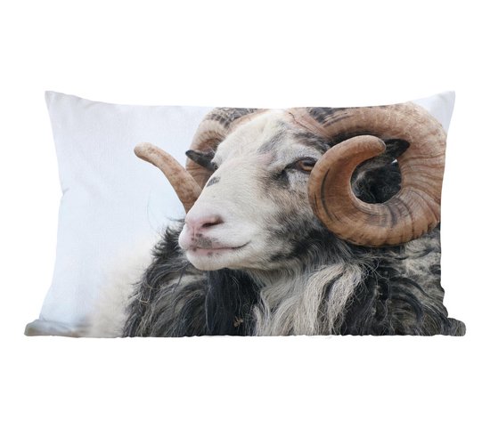 MOUTON Coussin beige Larg. 50 x Long. 50 cm