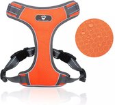 Knoedel Hondentuig - Hondenharnas - Anti Trek Tuig Hond - M - Reflecterend - Waterdicht - Oranje