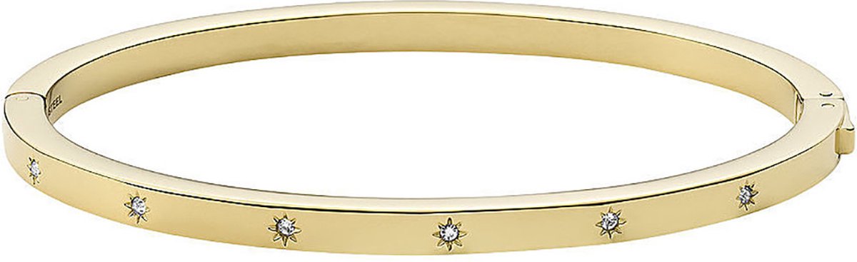 Fossil Vintage Glitz JF03872710 Damesarmband - 61 mm