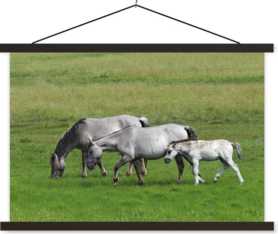 Affiche textielposter Chevaux Konik 120x80 cm