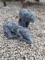 olifant set van 2 beelden beton grijs