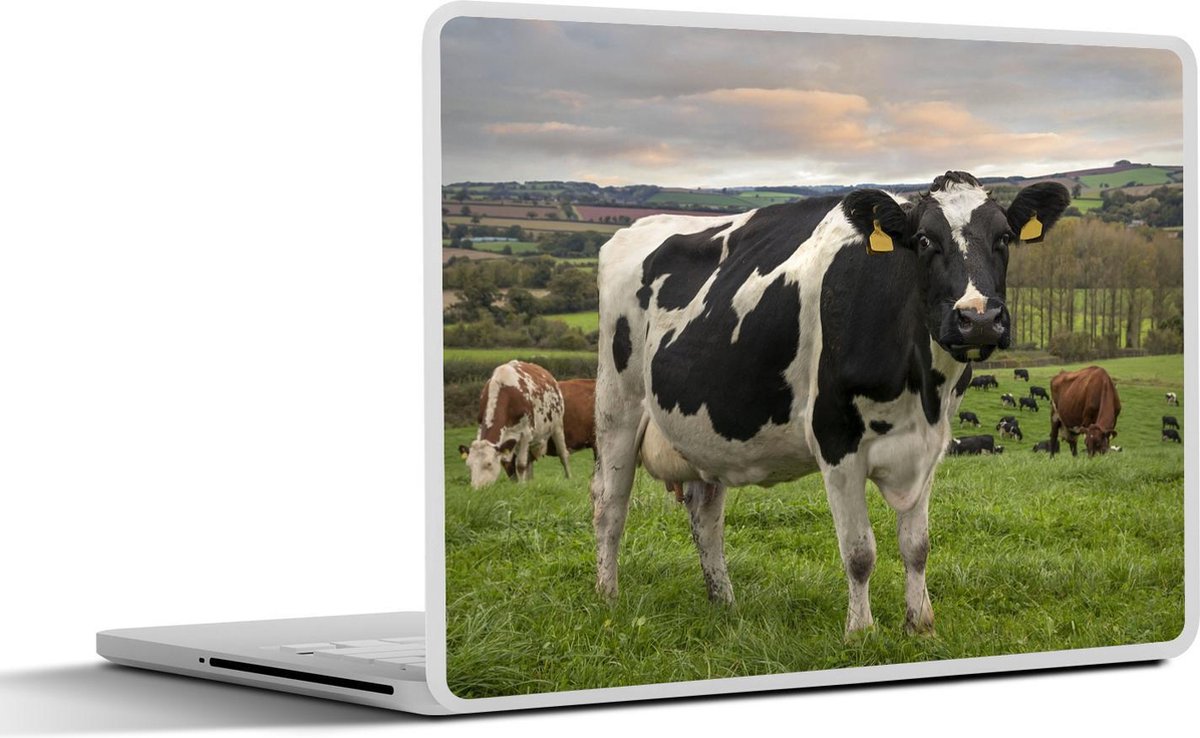 Laptop sticker - 12.3 inch - Koe - Berg - Gras - Dieren - 30x22cm - Laptopstickers - Laptop skin - Cover