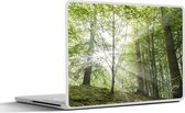 Laptop sticker - 14 inch - Bos - Bomen - Zon - 32x5x23x5cm - Laptopstickers - Laptop skin - Cover