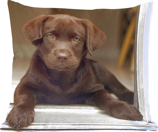Sierkussen' intérieur Labrador Retriever - Cute Labrador Retriever regardant dans la caméra - 60x60 cm - Coussin intérieur carré en coton