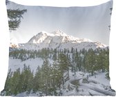 Sierkussen - Een Bergweg Met Uitzicht Op Het Amerikaanse Landschap Tijdens Kerst