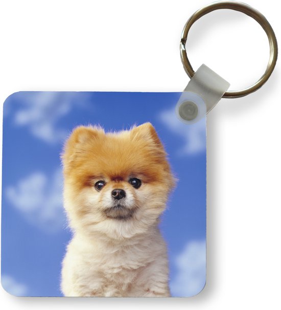 Zwart Silhouet Van Een Hondenpoot. Pootafdruk. Voetafdruk Huisdier Hond Vector Pictogram Poot Puppy Geisoleerd 258431 335