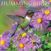 Hummingbirds Kalender 2022