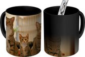 Magische Mok - Foto op Warmte Mokken - Koffiemok - Drie katten op kleine tafel - Magic Mok - Beker - 350 ML - Theemok