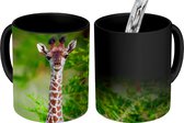 Magische Mok - Foto op Warmte Mokken - Koffiemok - Baby - Giraffe - Planten - Magic Mok - Beker - 350 ML - Theemok