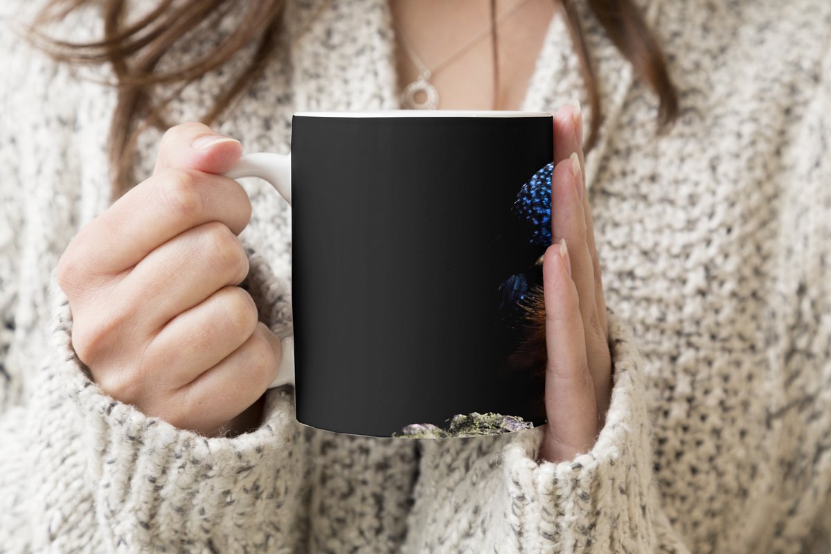 Mok - Koffiemok - IJsvogel - Tak - Veren - Zwart - Mokken - 350 ML - Beker - Koffiemokken - Theemok