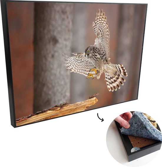 Adesivo gibia panoramico 25 cm Palombe