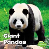 Black and White Animals - Giant Pandas