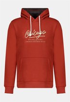 DEELUXE Hoodie met logo  CHICAGO Terra
