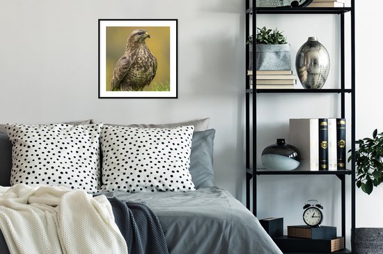 Affiche avec cadre Buzzard - Une buse est assise dans le champ - cadre photo noir - 40x40 cm - Affiche avec cadre