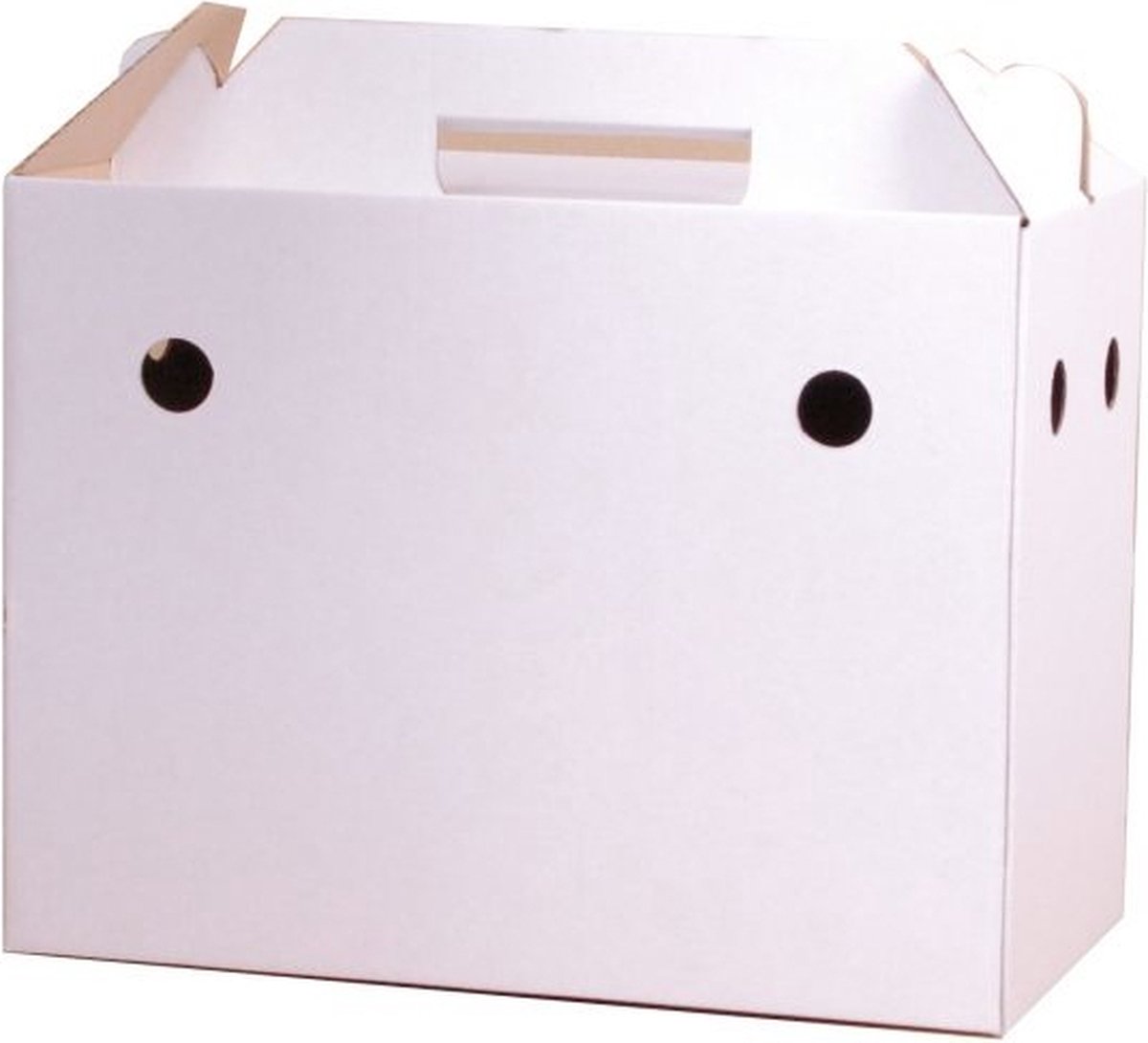 Wielink Transportdoosje 28X15X27CM