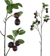 PTMD Berry Plant Pruimen Kunsttak - 52 x 30 x 88 cm - Bordeaux