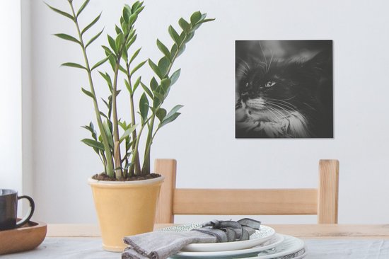 Tableau sur toile Profil animal chat de face en noir et blanc - 20x20 cm - Décoration murale